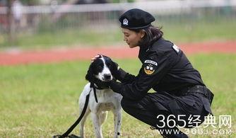 警花与警犬-在线观看,热血守护,共筑平安防线 第2张 警花与警犬-在线观看,热血守护,共筑平安防线 第2张